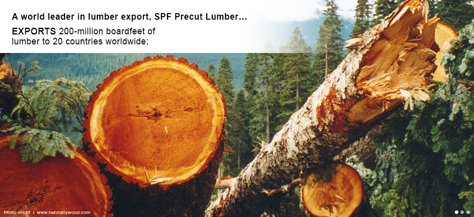 SPF Precut Lumber exports 200-million boardfeet of lumber to 20 countries worldwide;